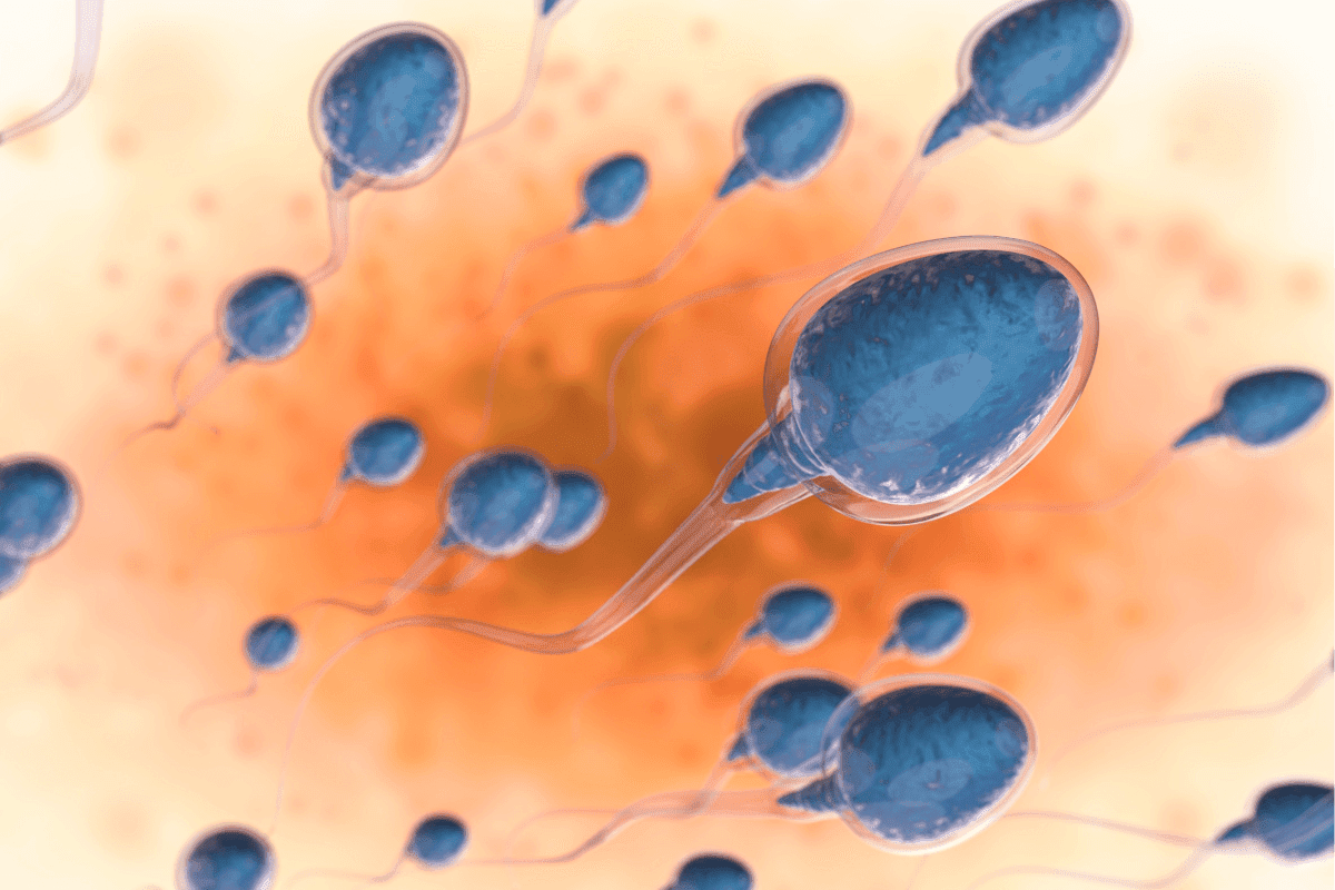 Low Volume of Sperm: Complete Guide