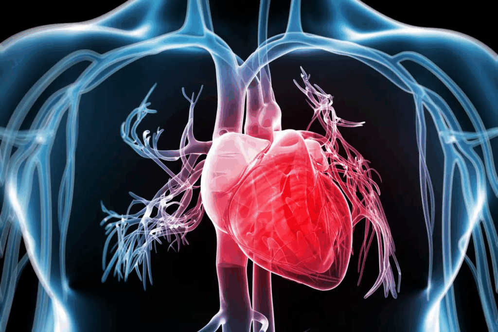 Sleep Apnea and Heart: Linked Conditions