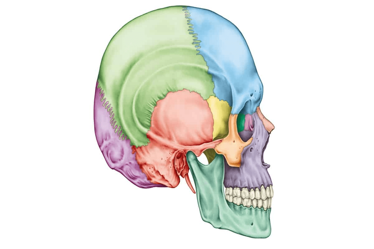 Knot on Occipital Bone: Causes & Relief