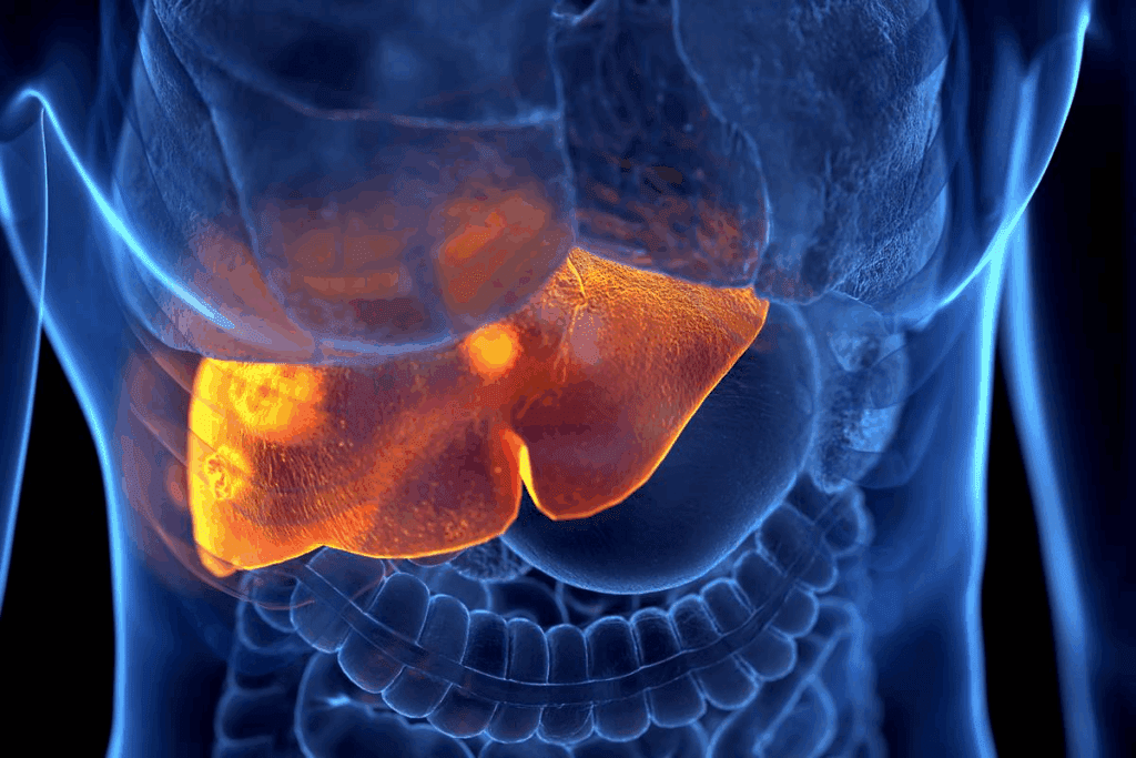 Can a liver tumor go away?