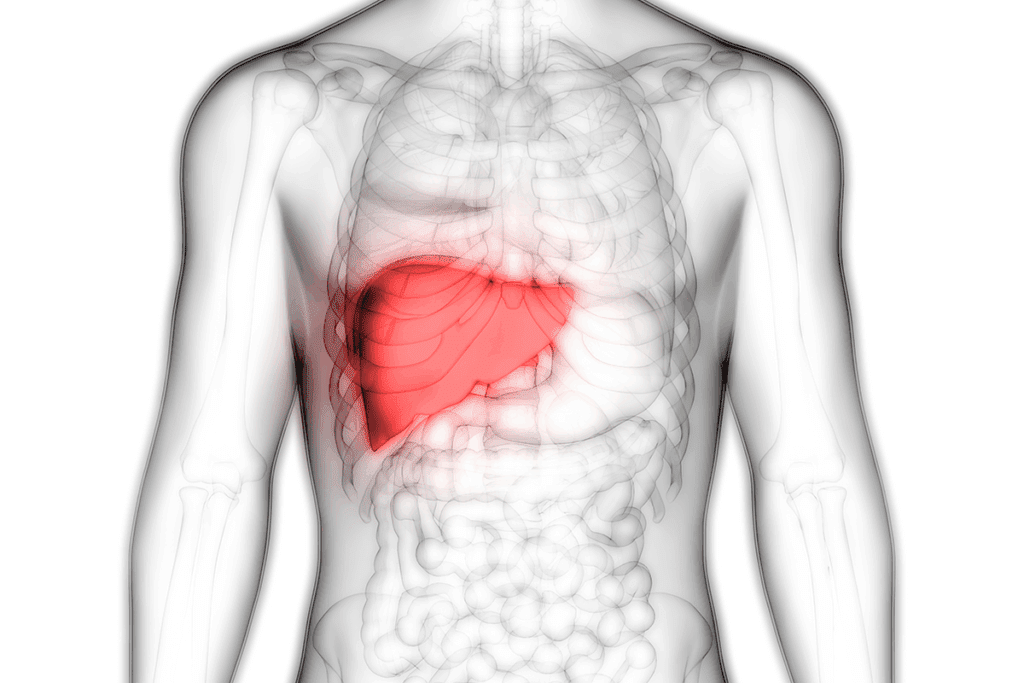 Liver Tumor Prevention: Absolutely Key Lifestyle Steps to Take