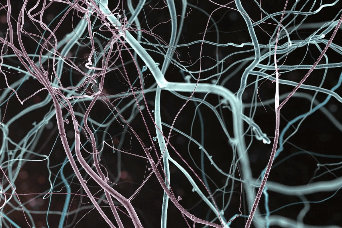 High-Risk Neuroblastoma: Essential Factors Revealed