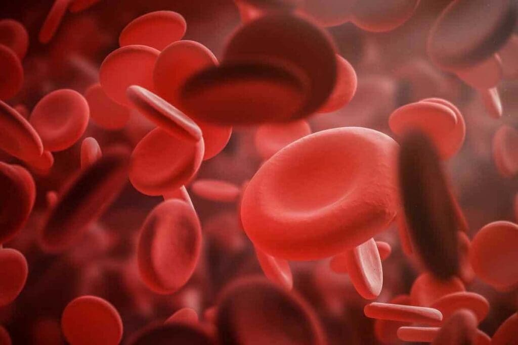 What Does a Low Red Blood Cell Count Mean for Cancer Patients?