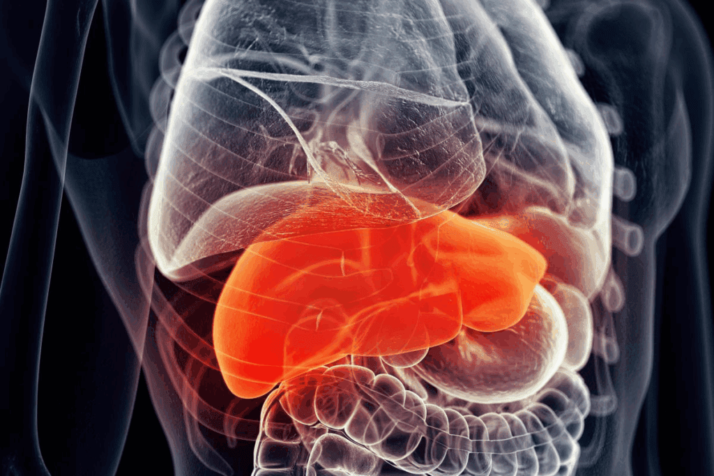 At What Age Is Hepatoblastoma Predominantly Diagnosed? Hepatoblastoma Appearance