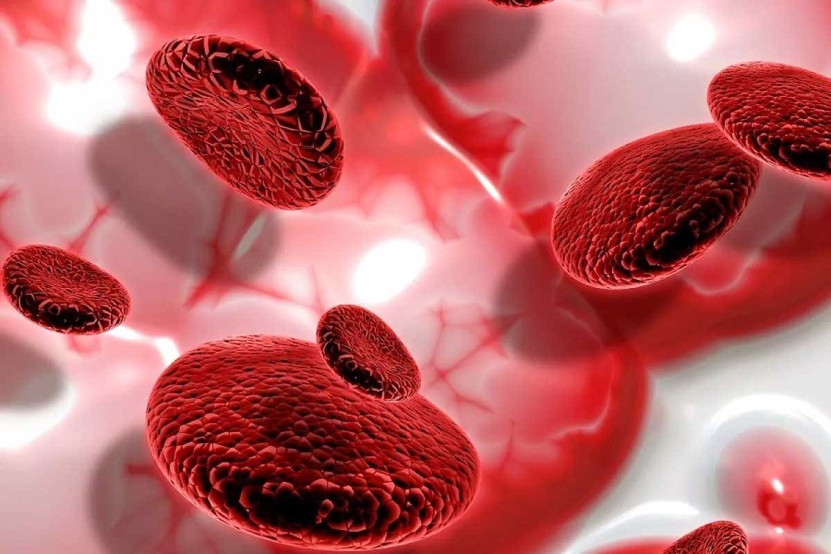 11 Key Medical Terms for Blood Clotting and Blood Clots Explained
