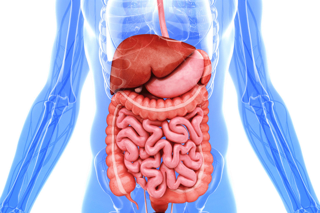 Chemotherapy Side Effects: Scary Black Stools 3 Chemotherapy Side Effects: Scary Black Stools