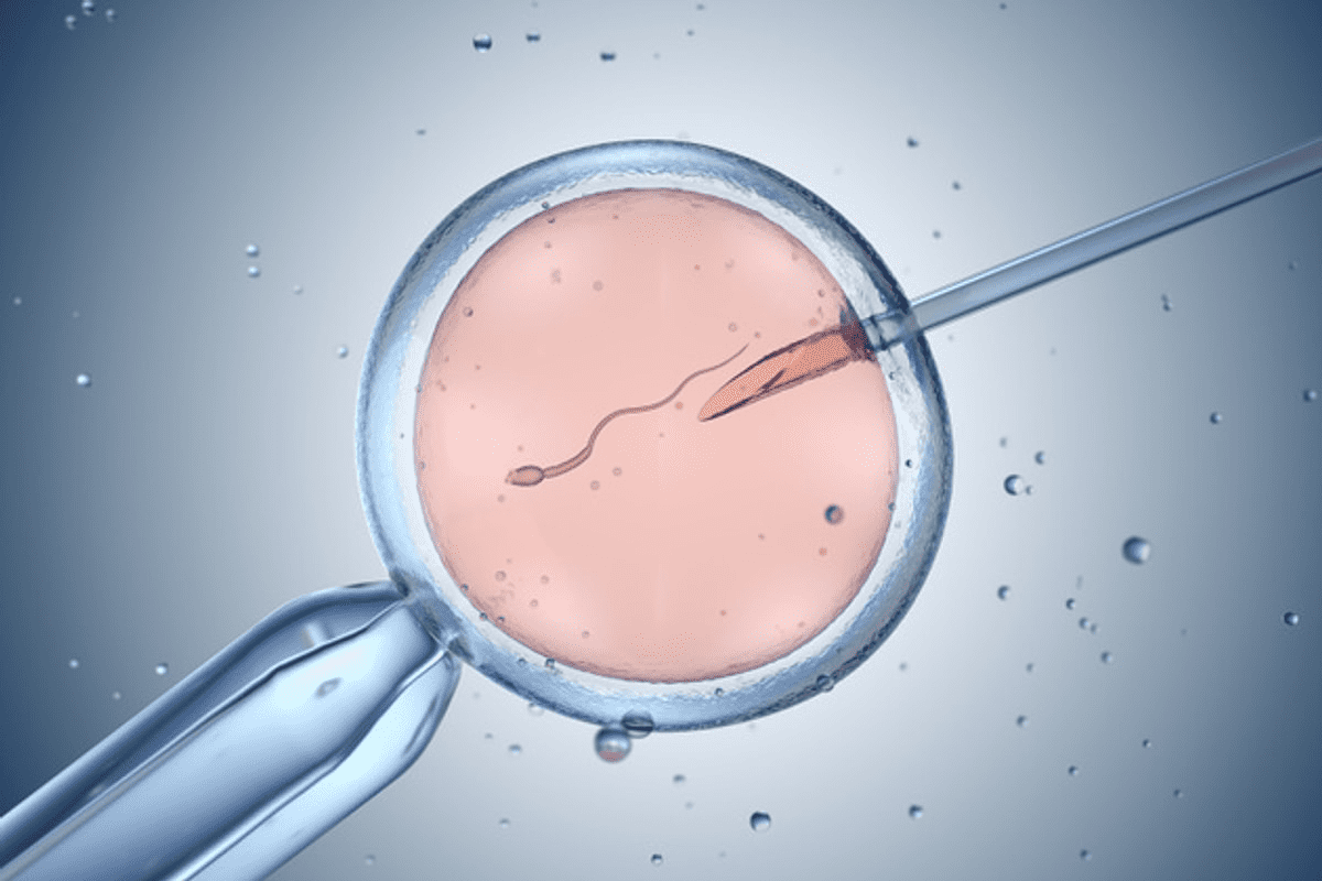 Vasectomy Reversal Vs IVF: Which Effective Option is Best?