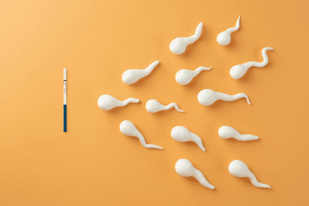 Vasectomy Reversal: Does Age Negative Affect Male Fertility?