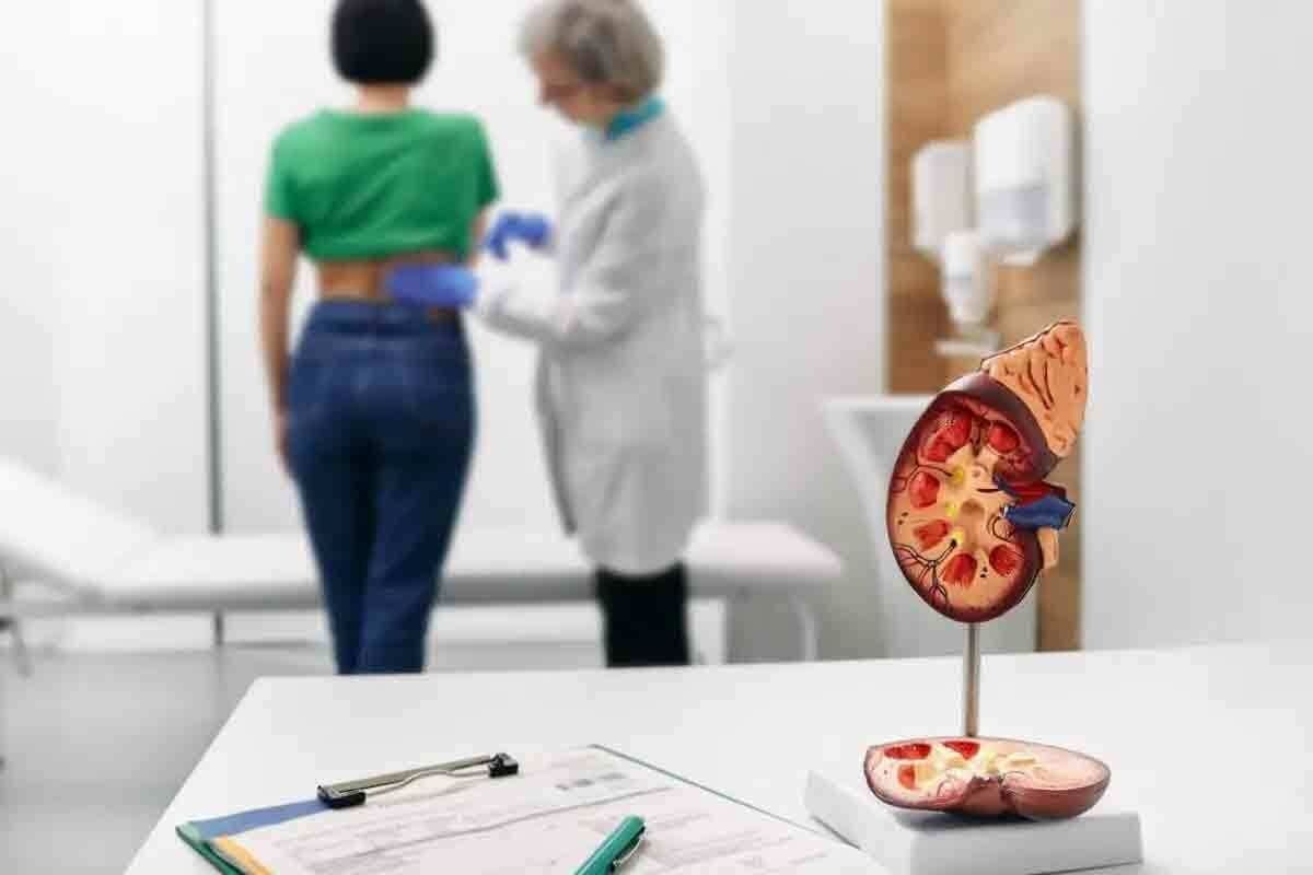 MAG III Renal Scan: Normal vs Abnormal Explained