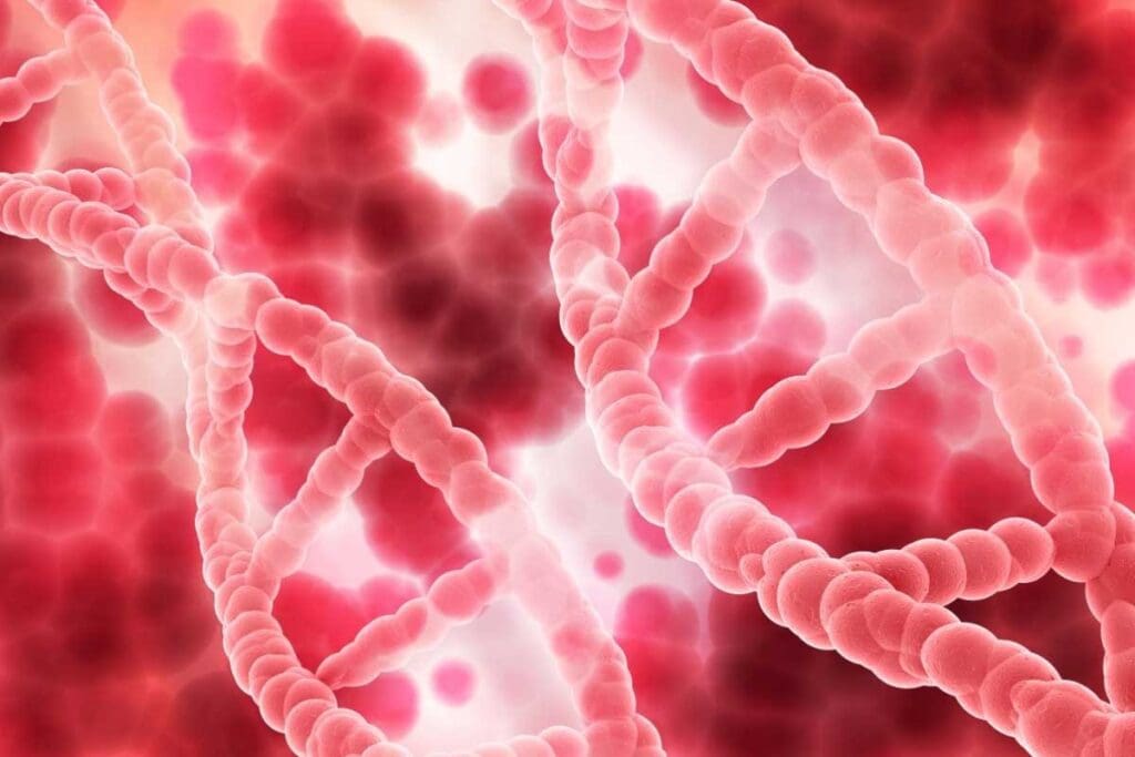 Is Blood Cancer Treatable? 11 Essential Facts About Diagnosis & Treatment 2 Is Blood Cancer Treatable? 11 Essential Facts About Diagnosis & Treatment