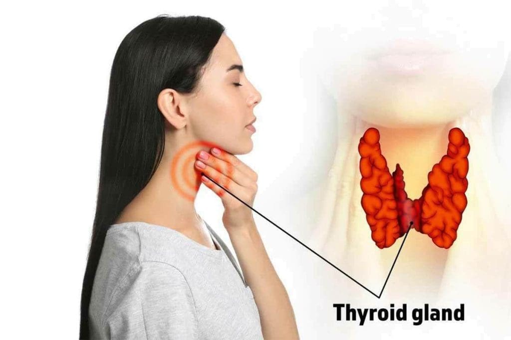 CT Thyroid Gland: 7 Essential Insights Revealed Now