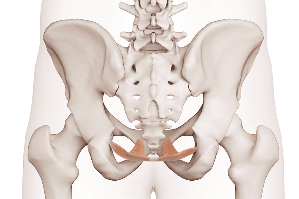 Colon and Prostate Cancer's Impact on Bowel Habits
