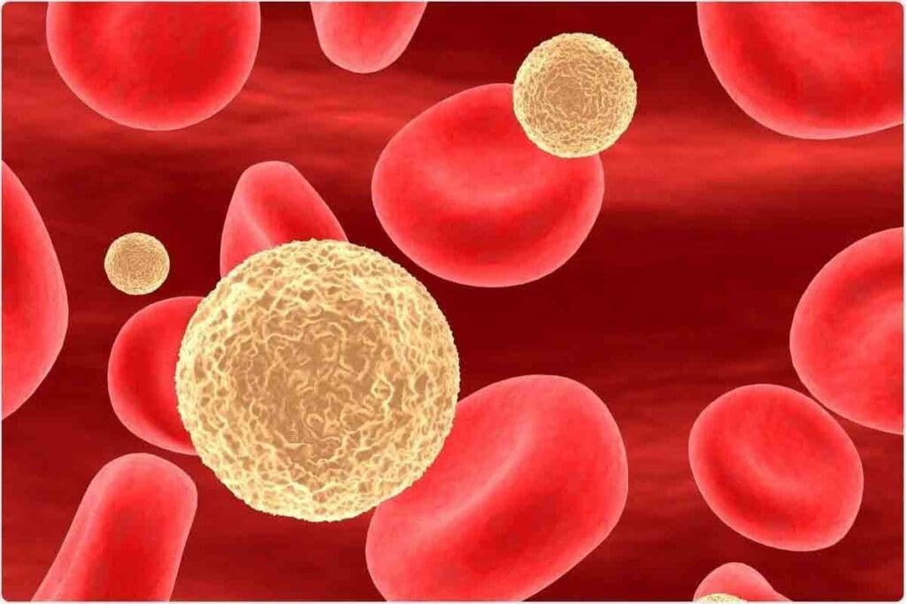 Lymphocytes Normal Value: 8 Key Facts About Normal Ranges, Percentages, and Danger Levels 1 Lymphocytes Normal Value: 8 Key Facts About Normal Ranges, Percentages, and Danger Levels