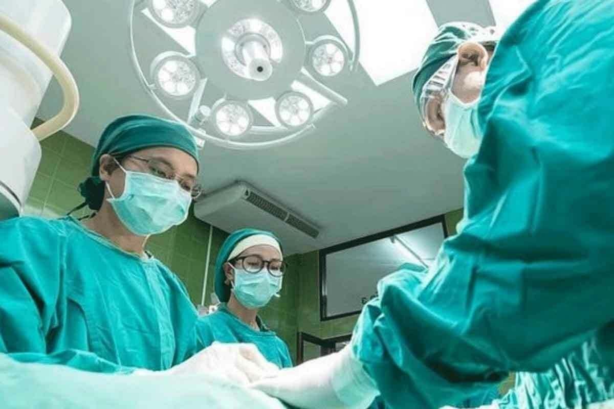 Bone Marrow Transplant Survival Rate by Age: 10 Key Facts You Should Know