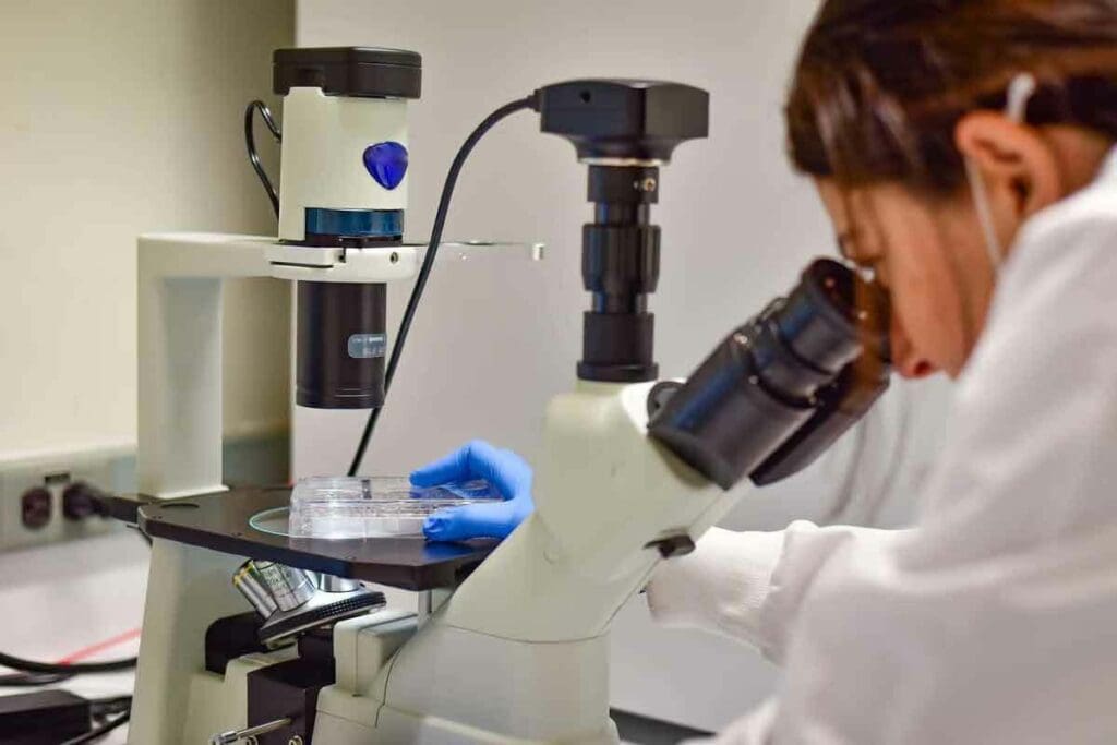 Bone Marrow Transplant Survival Rate by Age: 10 Key Facts You Should Know 2 Bone Marrow Transplant Survival Rate by Age: 10 Key Facts You Should Know