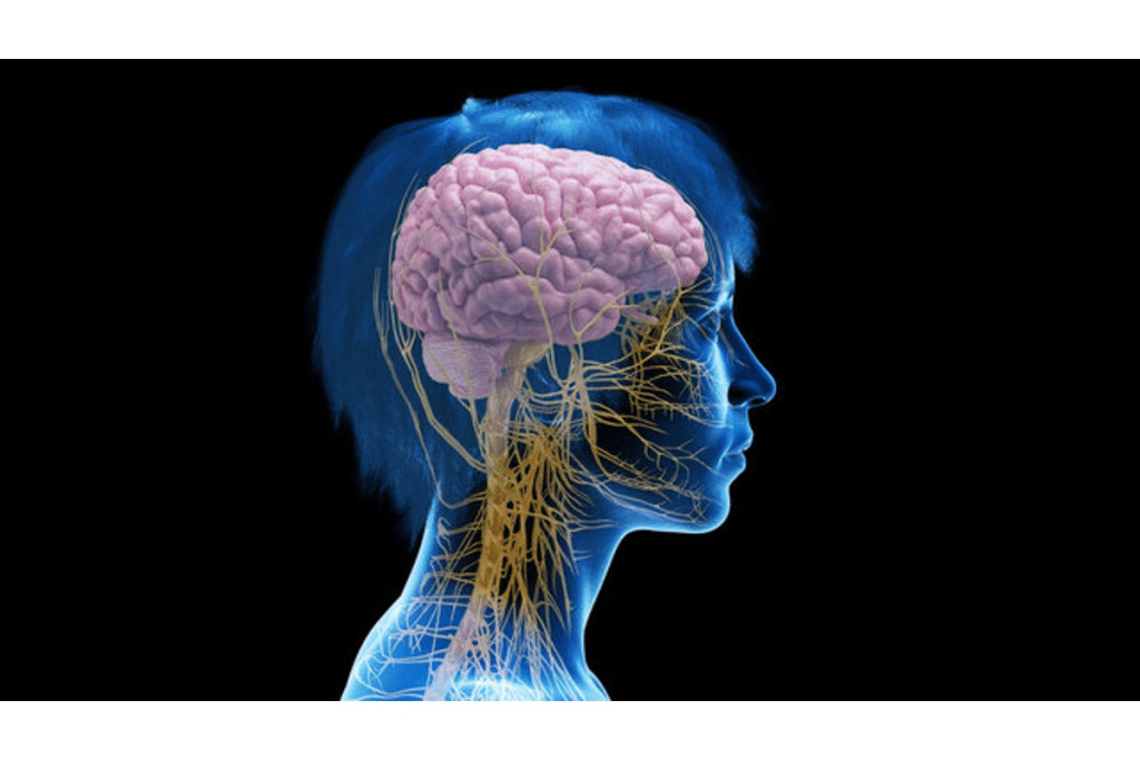 Erection During Prostate Exam: Awkward Fact 2 Erection During Prostate Exam: Awkward Fact