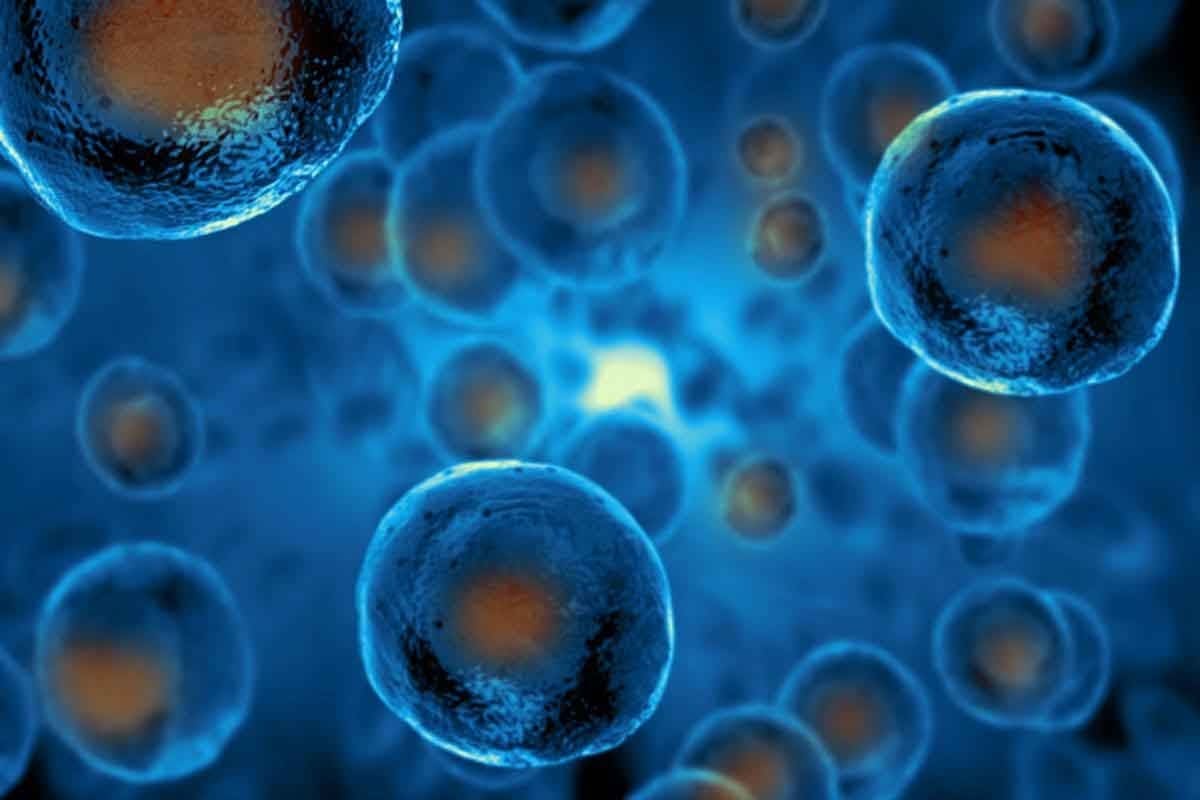 How Long After Stem Cell Transplant Will I Feel Better? What to Expect, Recovery Timeline, and Key Tips