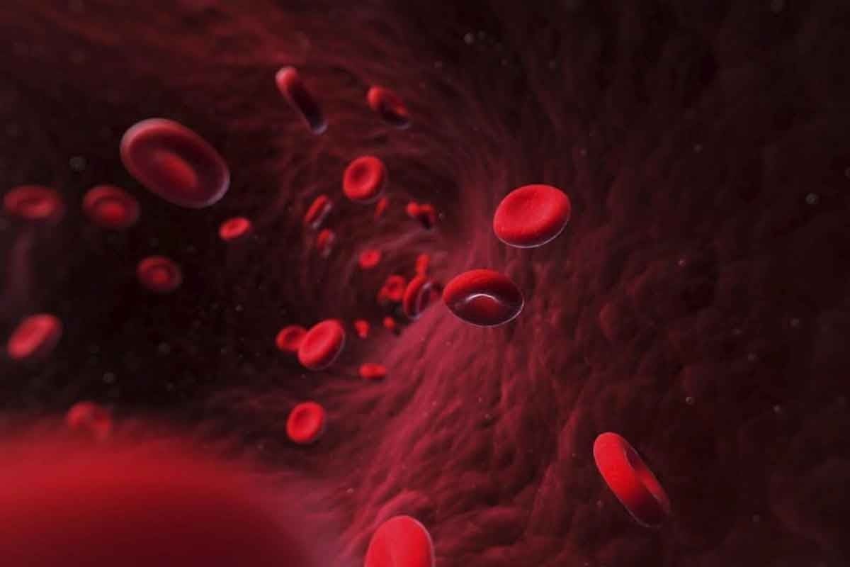 Blood and Blood Diseases: 12 Common Disorders and Their Causes Explained