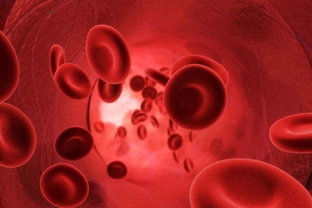 Blood and Blood Diseases: 12 Common Disorders and Their Causes Explained 3 Blood and Blood Diseases: 12 Common Disorders and Their Causes Explained