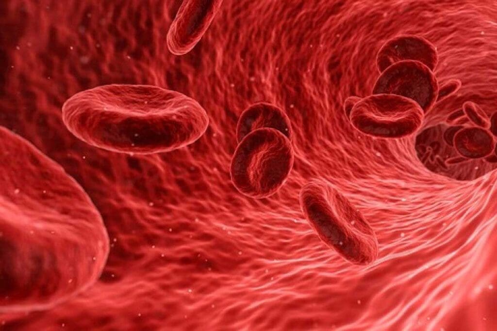 Is Aplastic Anaemia Curable: Amazing Treatment Facts 1 Is Aplastic Anaemia Curable: Amazing Treatment Facts
