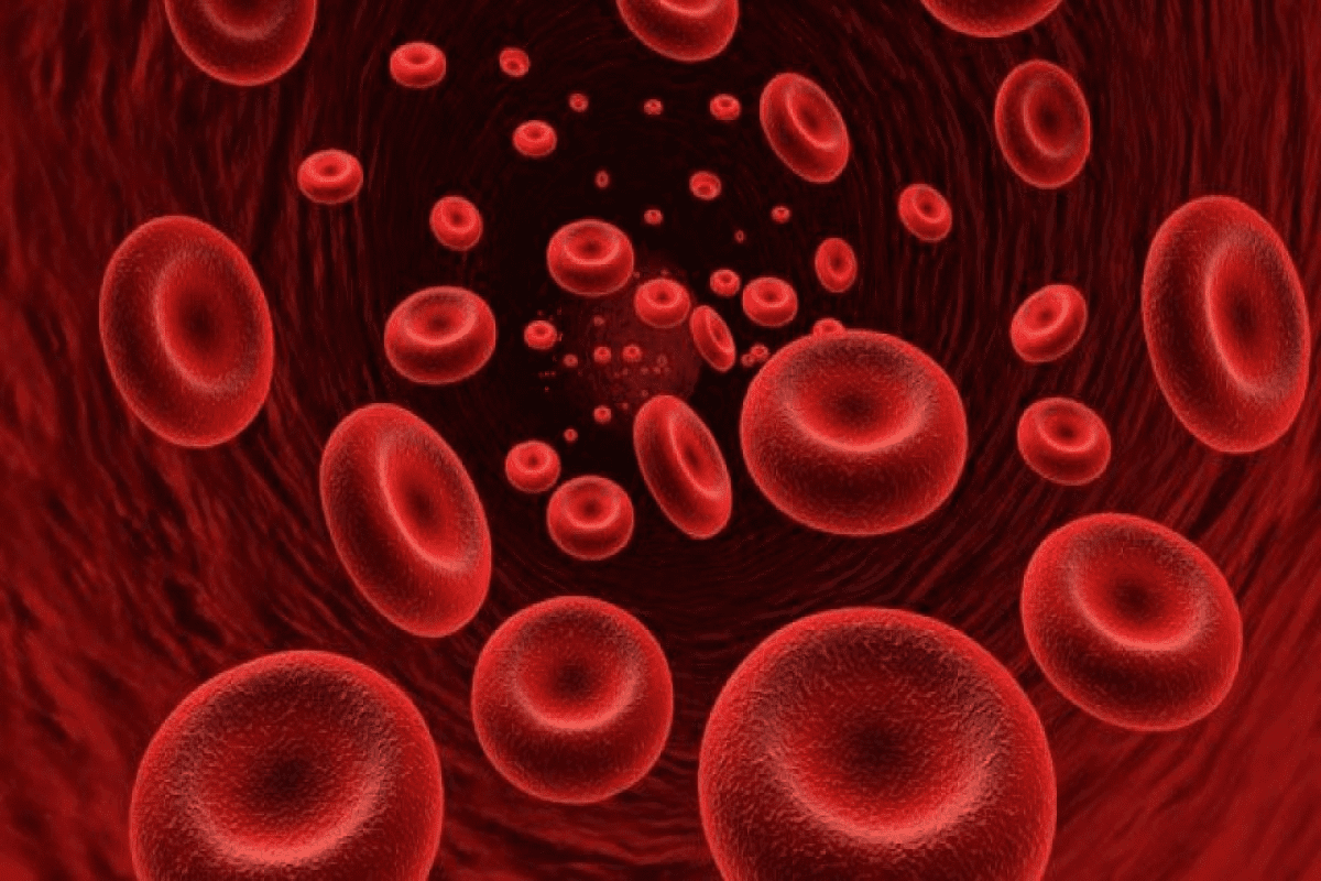 Autoimmune Hemolytic Anemia Relapse: Best Guide