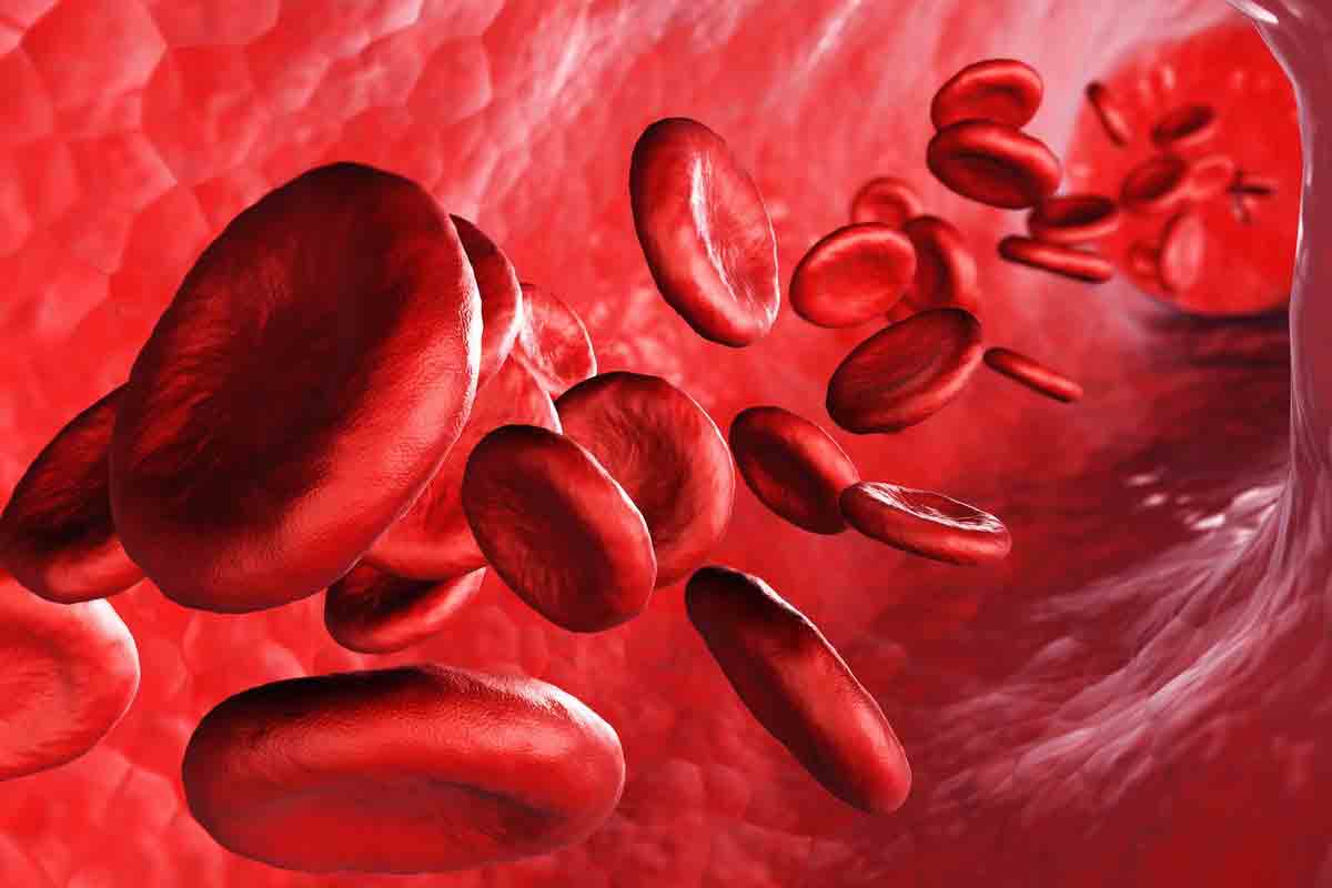 Hereditary Anemia Diseases: 7 Key Genetic Types