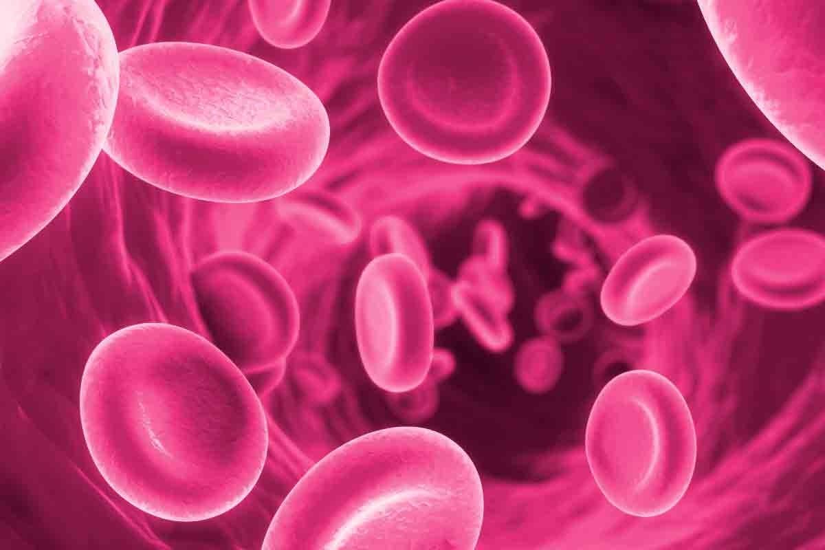 What Is Beta Thalassemia Disease: Major vs. Minor Explained