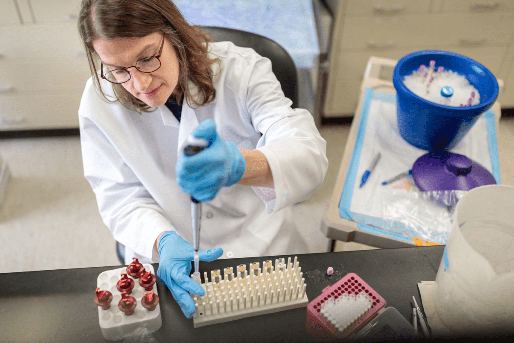 image 6197 LIV Hospital