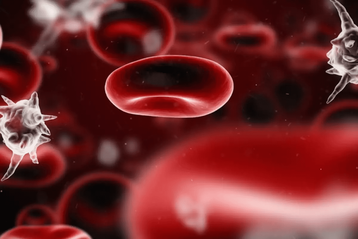 Bacteremia: The Ultimate Guide to Blood Infection