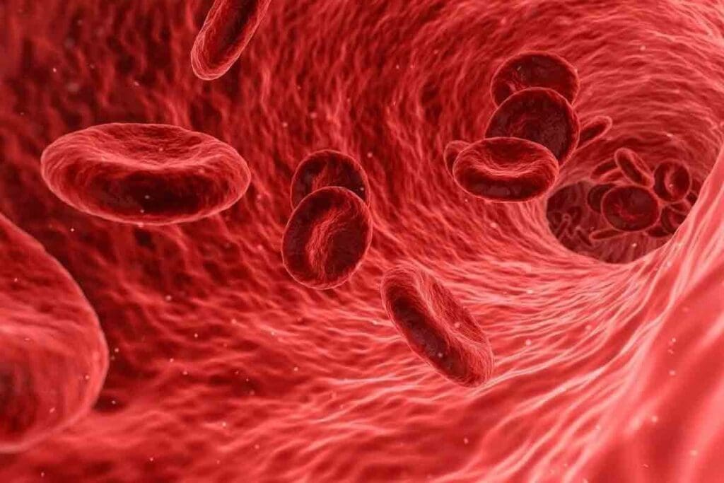 image 6263 LIV Hospital