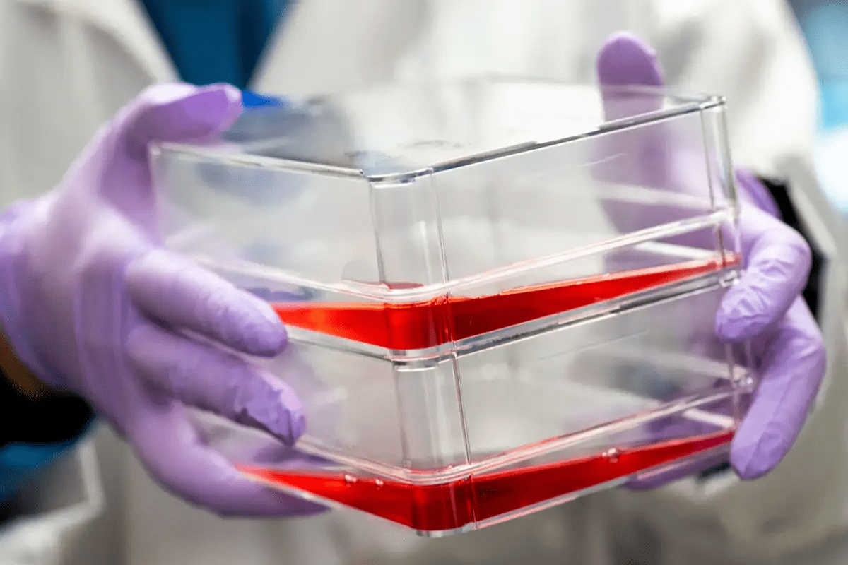 Factor V Leiden: Critical Foods & Drugs to Avoid