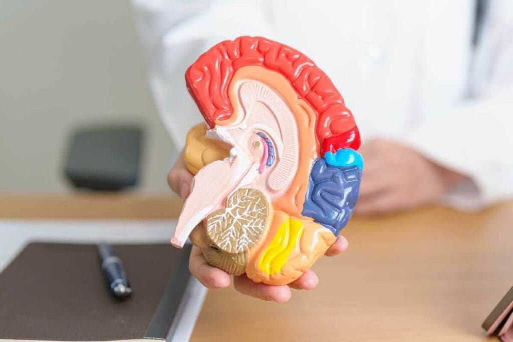 First Symptoms of Brain Tumor: Headache Type and Signs 1 First Symptoms of Brain Tumor: Headache Type and Signs