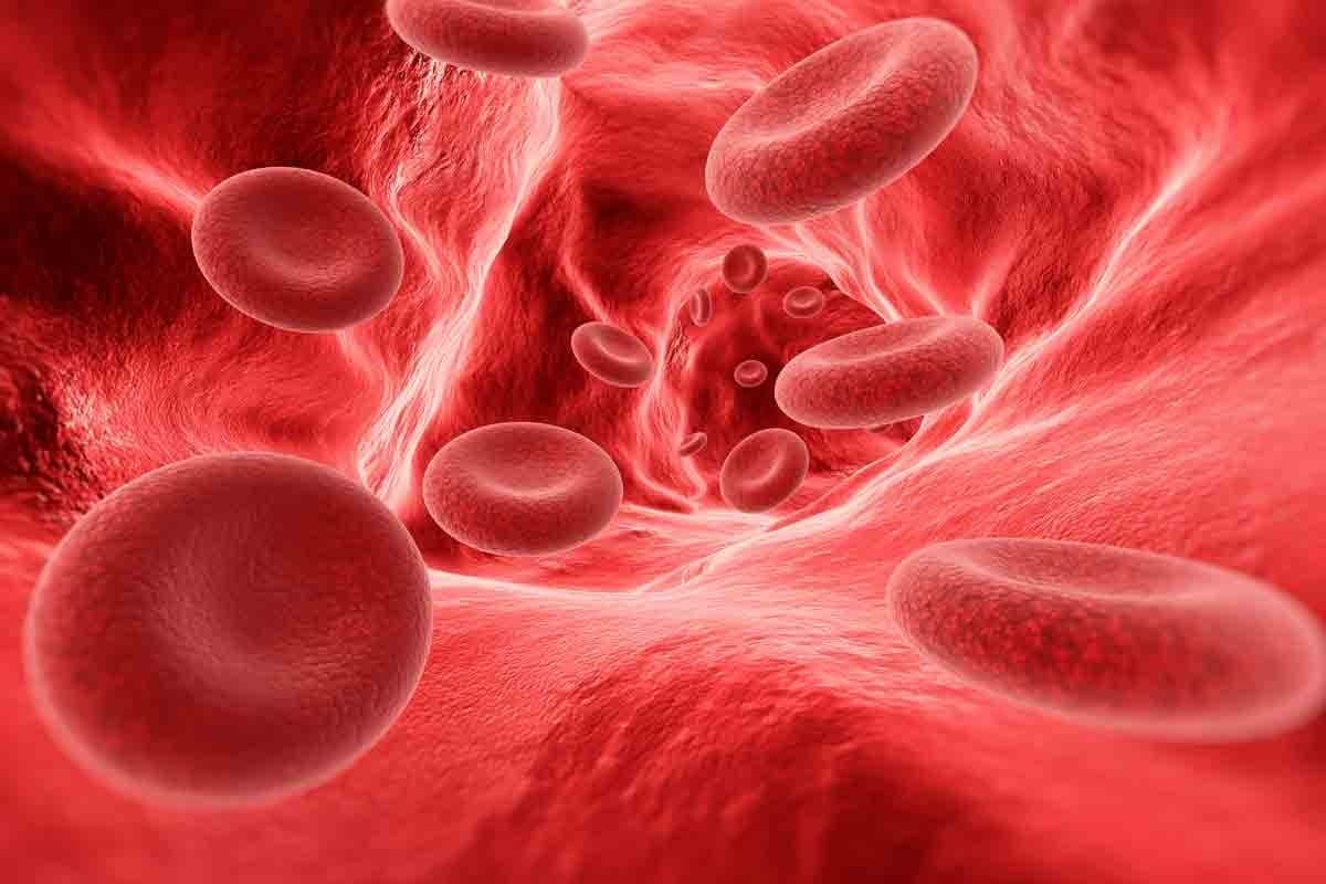 Abnormal Condition of Cells: 7 Key Facts Explained