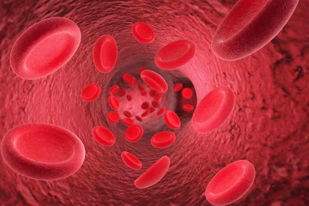 What Does Abnormal Red Blood Cells Mean for Health?