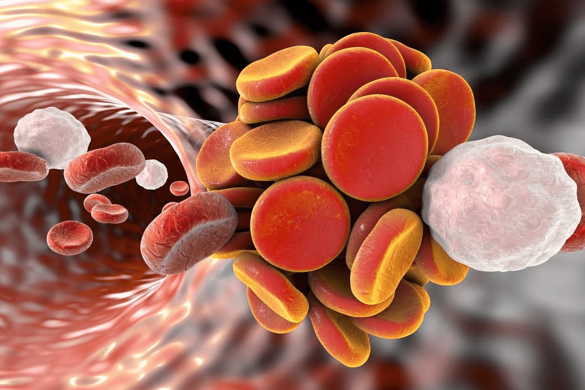 Vitamin K: The Ultimate Guide to Blood Clotting