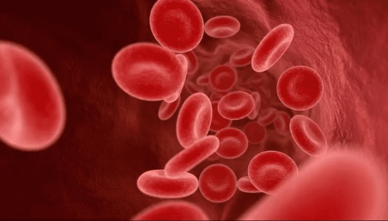 Sickle Cell Anemia: Essential Facts on Negative Disease
