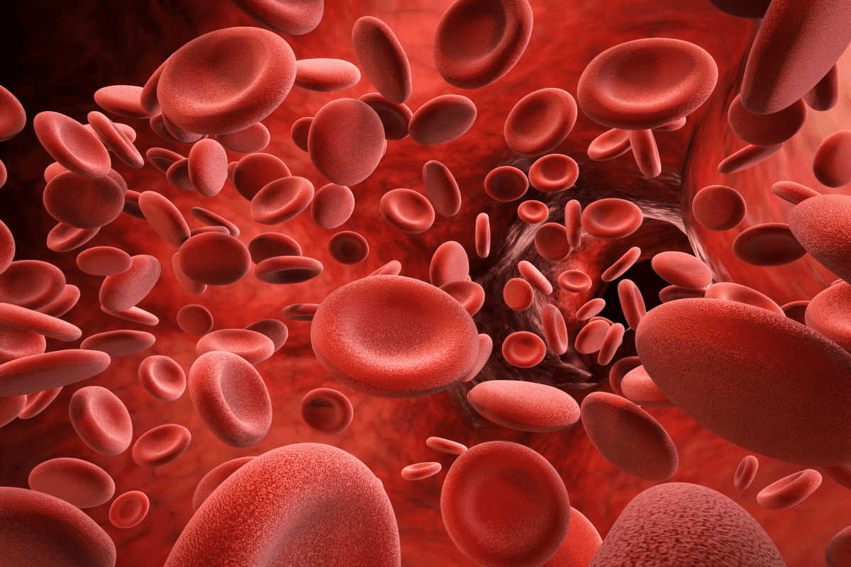 Anemia Lack of Blood: Serious Negative Risks
