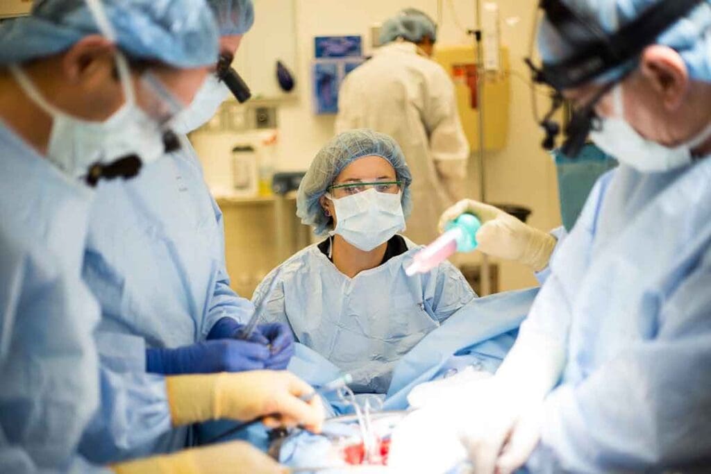 Aortic Graft Surgery: Types & Techniques