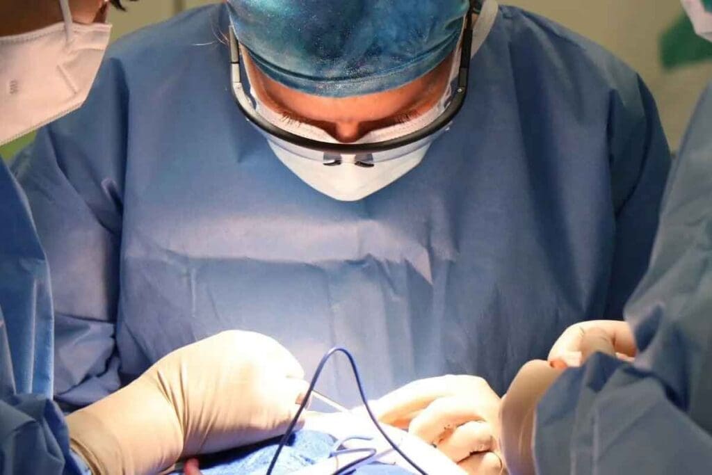 Endovascular Repair: 7 Essential Facts