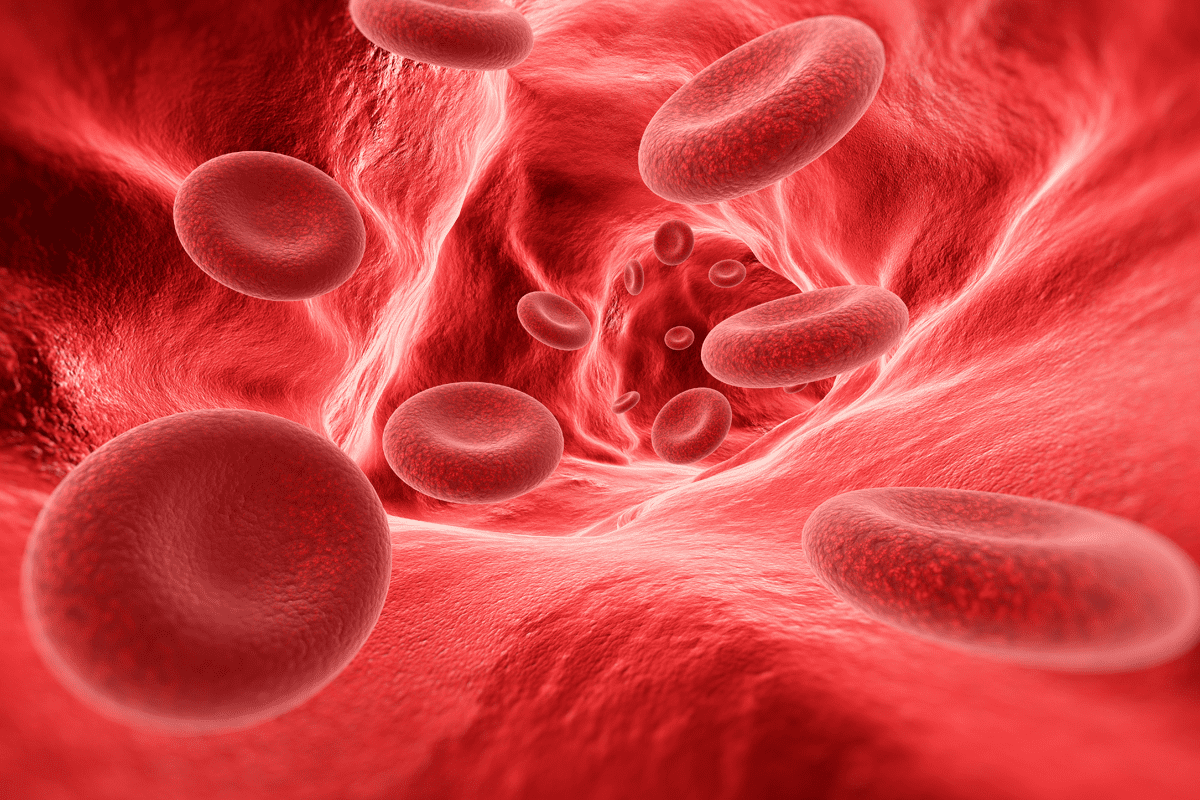 What Causes Anemia: Essential Negative Factors