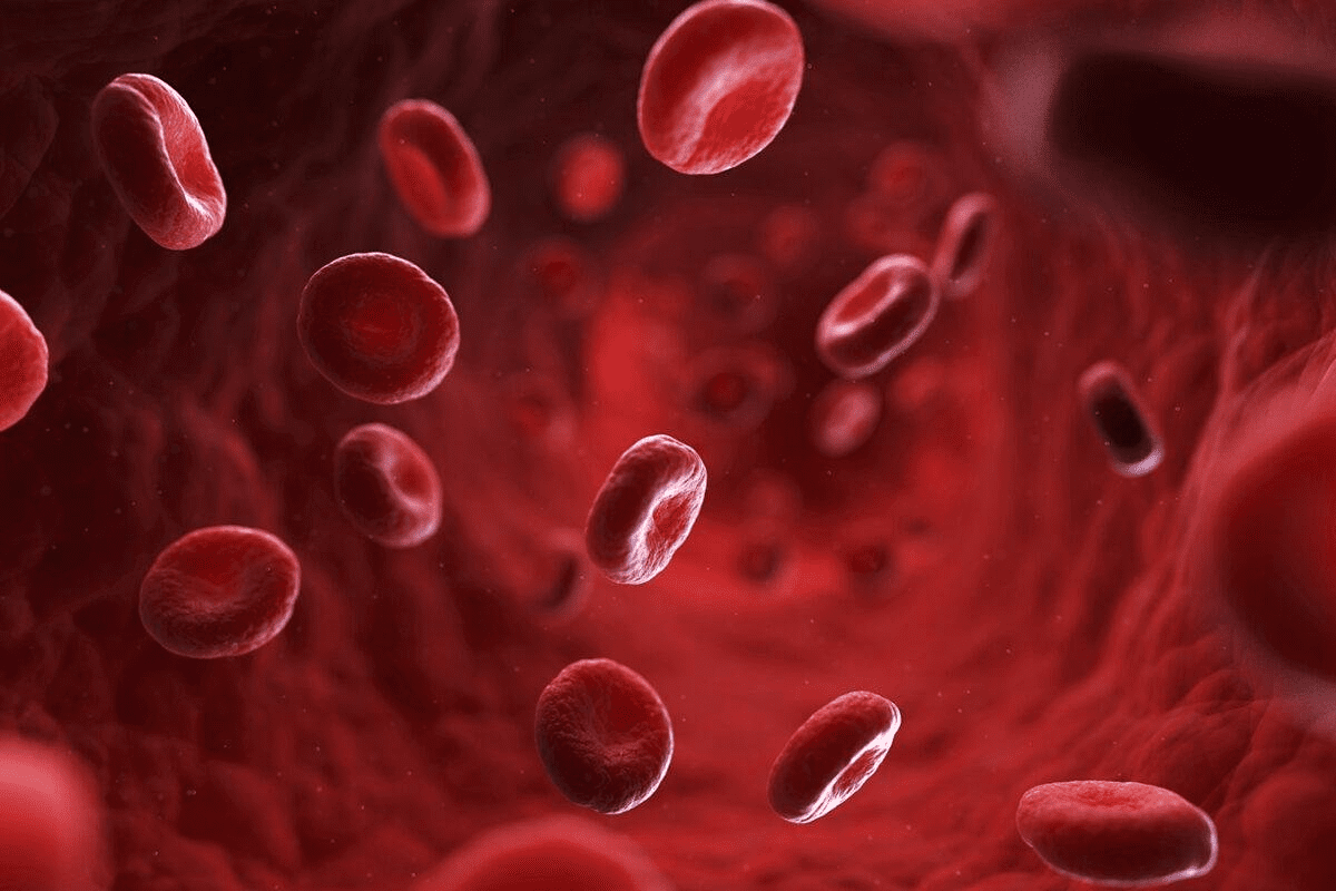 Low Red Blood Cell Count: Expert Negative Causes
