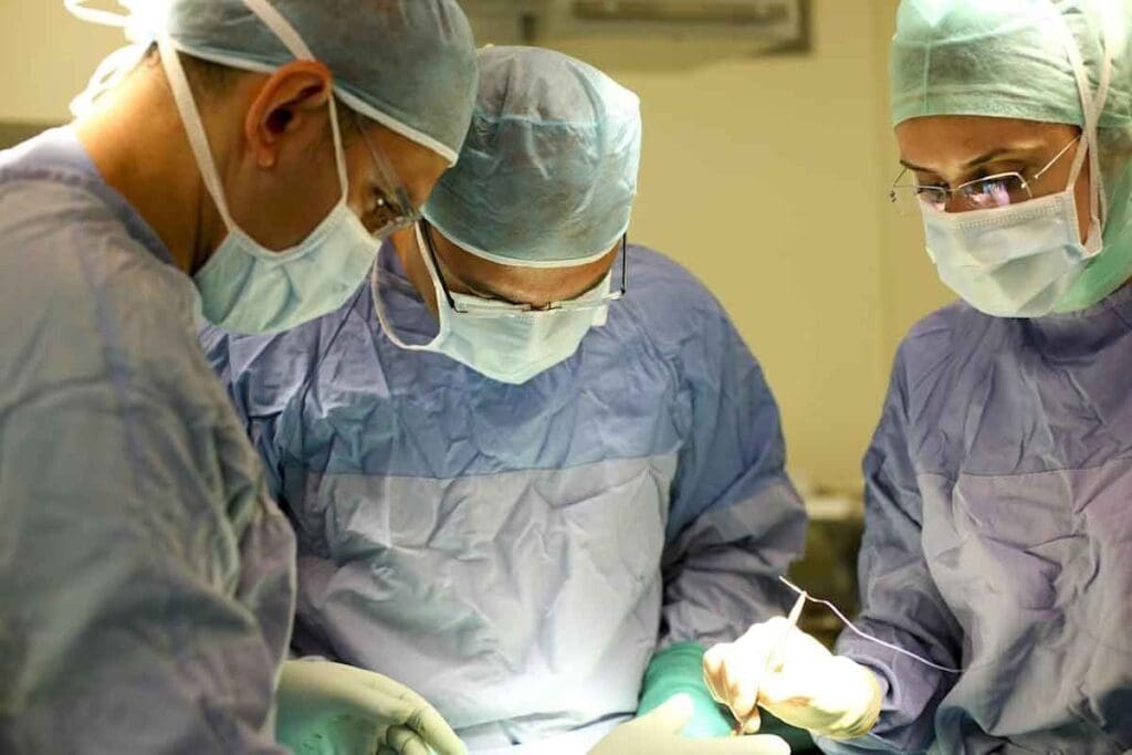 Abdominal Aortic Graft: 10 Key Facts and Stent Guide