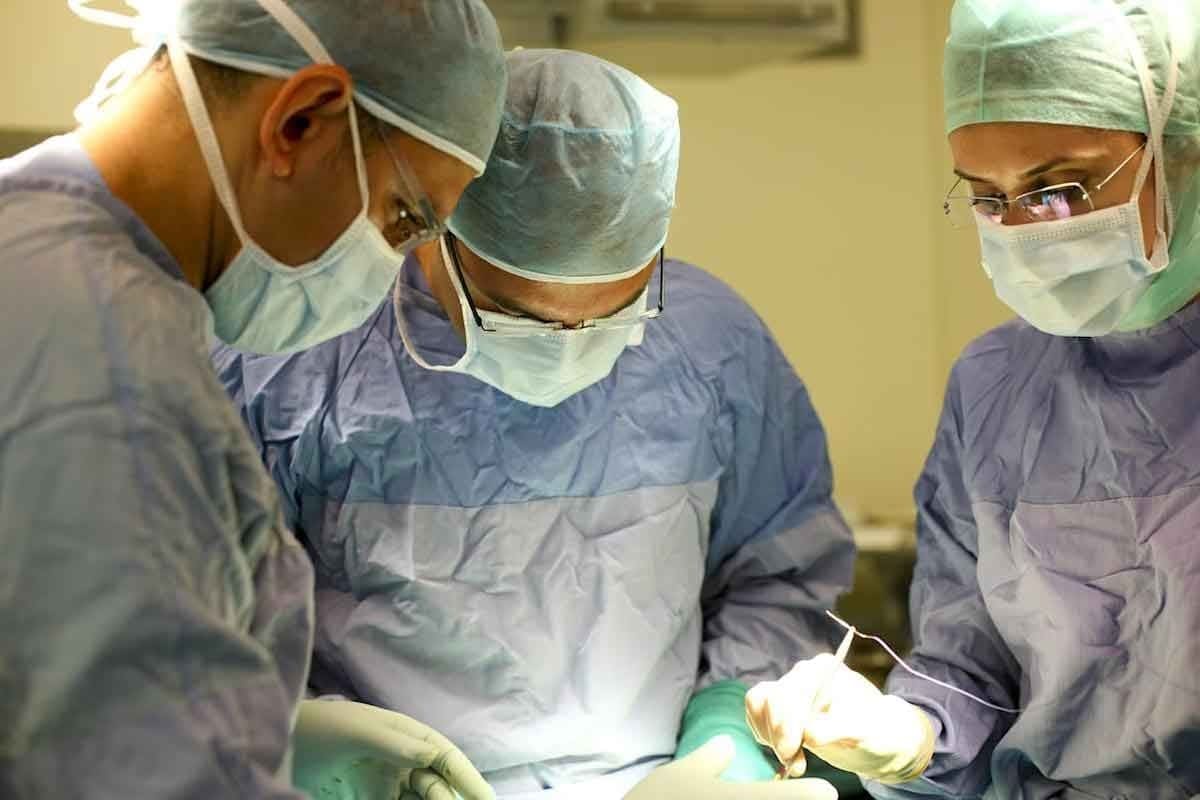 Abdominal Aortic Graft: 10 Key Facts and Stent Guide