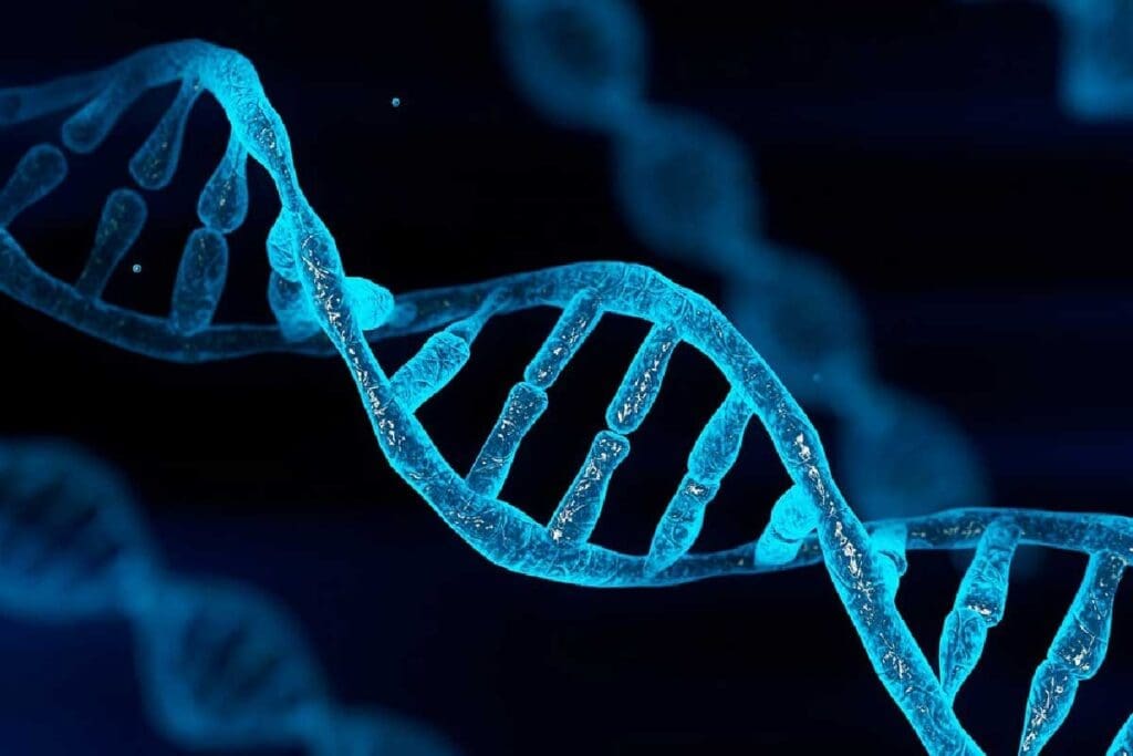 What Causes Ewing Sarcoma? Effects in Adults