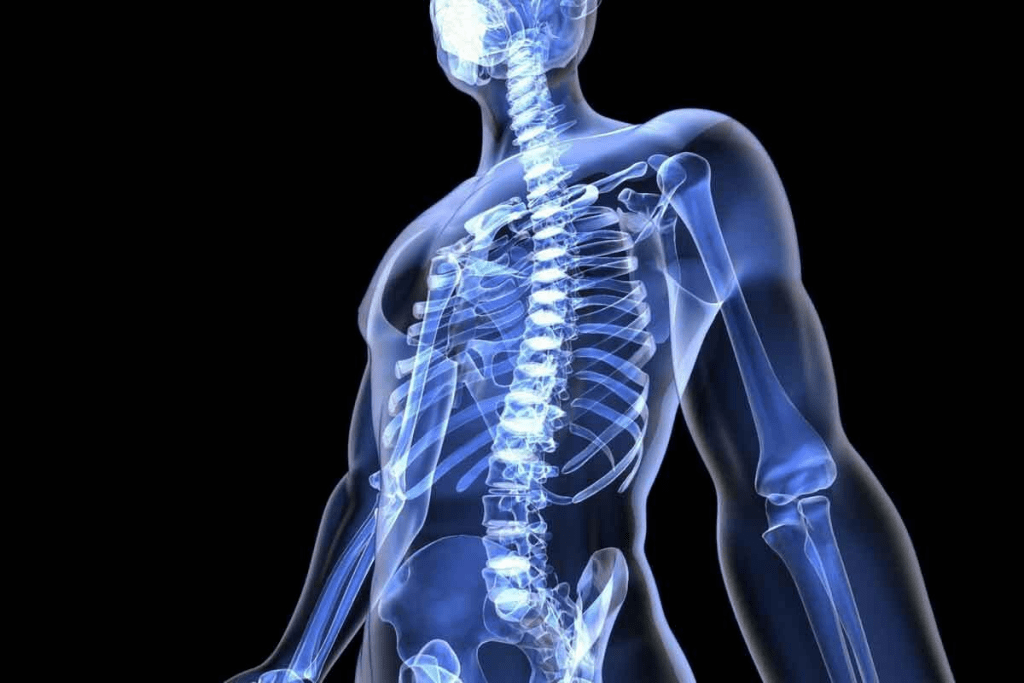 Skeletal Scintigraphy: 12 Key Facts 1 Skeletal Scintigraphy: 12 Key Facts