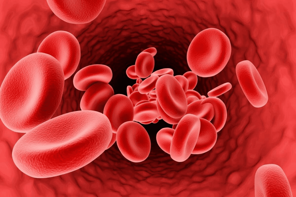 What Level of Platelets Is Dangerous? 1 Negative Dehydration 2 What Level of Platelets Is Dangerous? Negative Dehydration