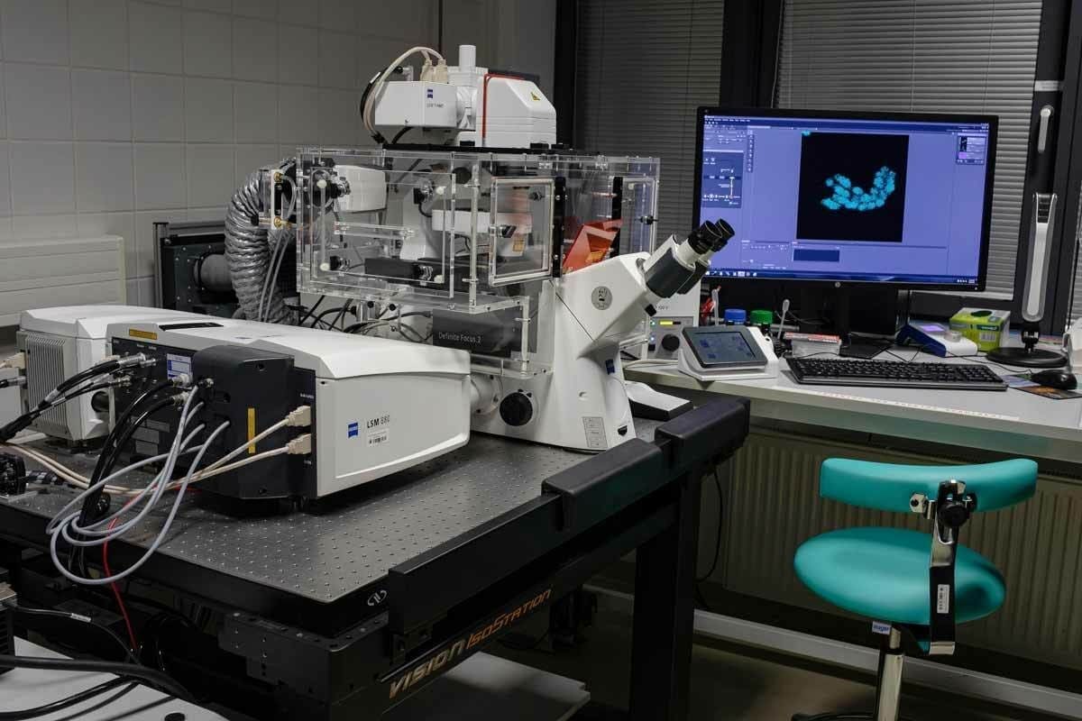 Gamma Scanner: 7 Powerful & Amazing Key Features