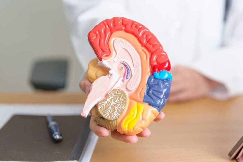 Understanding Grade 2 Brain Tumor: 7 Key Facts and Stages