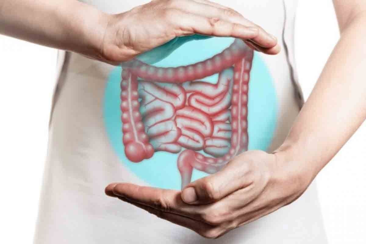 Large Bowel Adhesions: 8 Key Facts on Pain & Risks