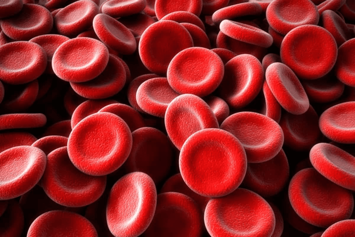 High Red Blood Cell Count: Should You Be Alarmed? Key Guide